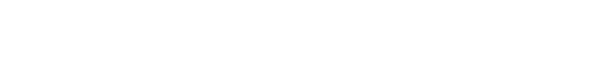 AI BRIDGE